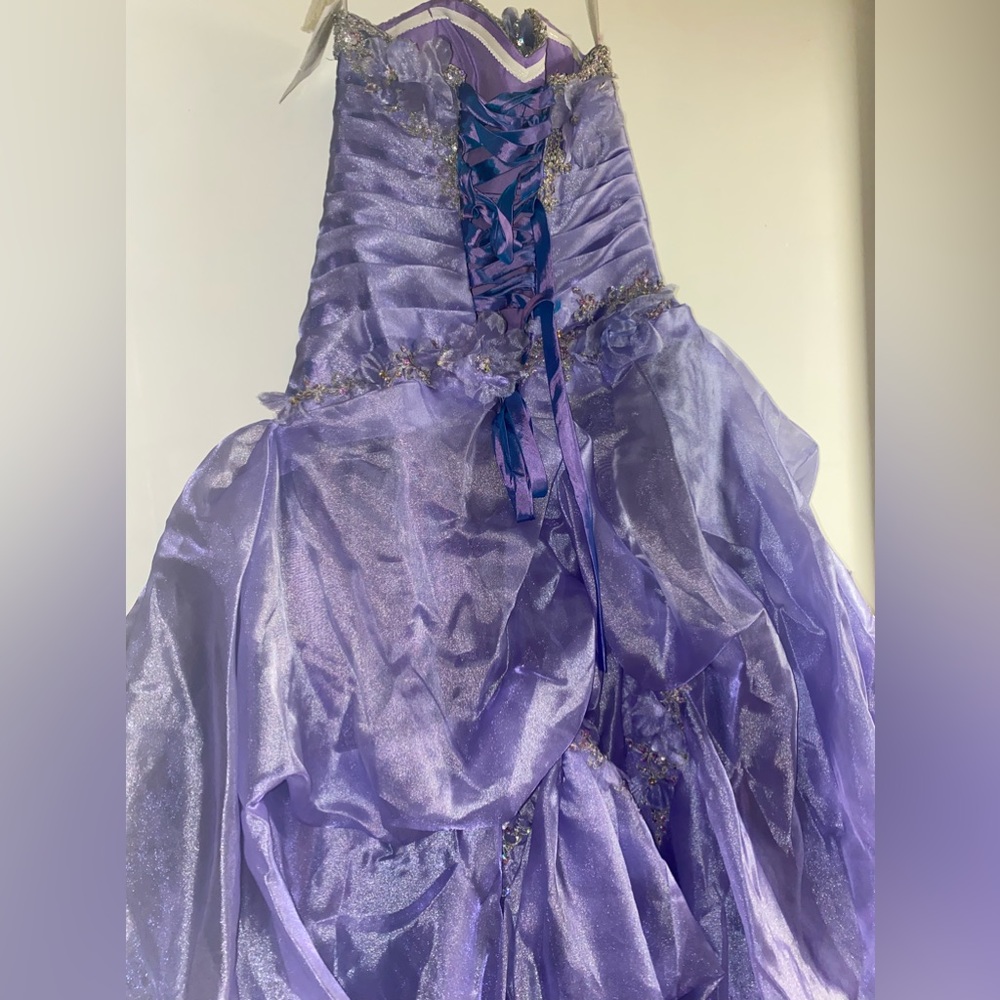 Brand new quinceañera dress